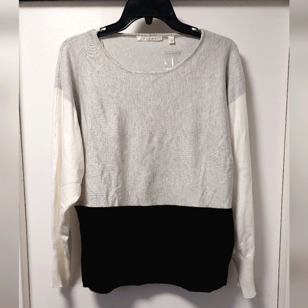 NWT CYRUS Colorblock Stripe Dolman Sleeve Sweater